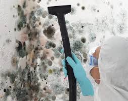 Best Mold Prevention Services  in White Hall, IL